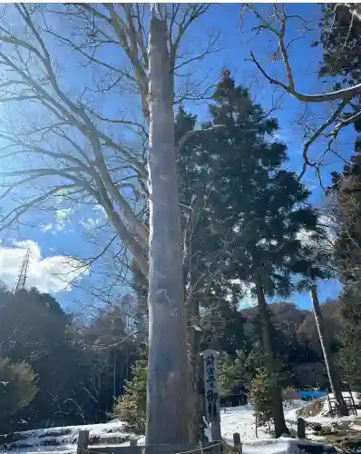 諏訪大社上社前宮(長野県)