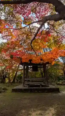 勝持寺（花の寺）(京都府)