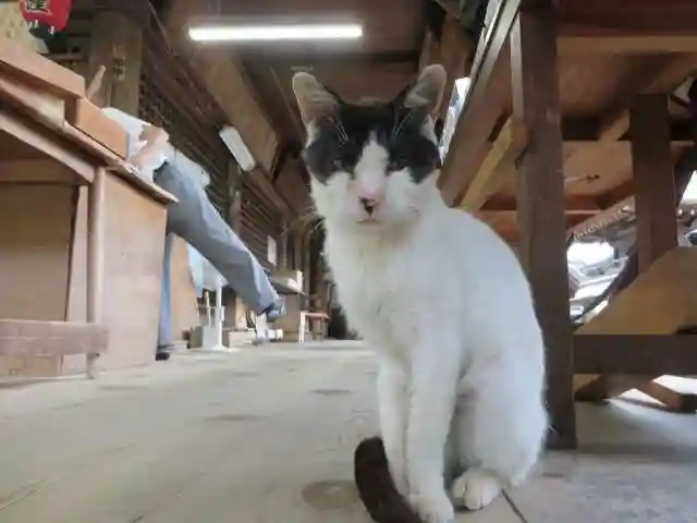 智恩寺(京都府)