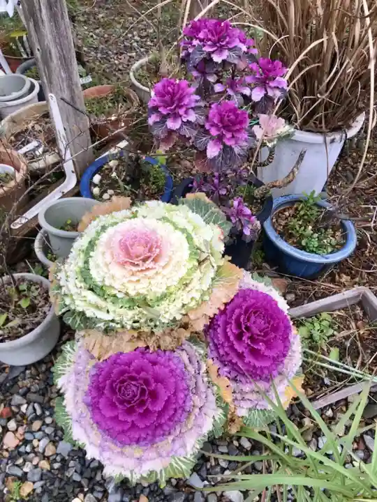 梅宮大社(京都府)