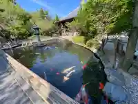 霊山寺(徳島県)