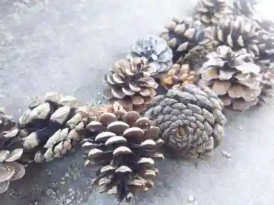 伊原八幡神社の自然