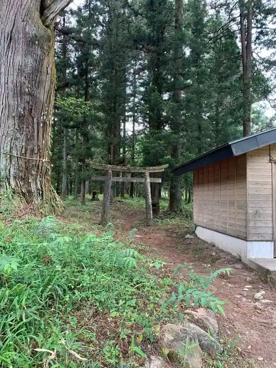 大葦神社の鳥居