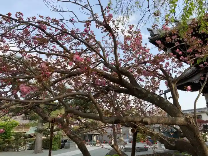 本覚寺(神奈川県)