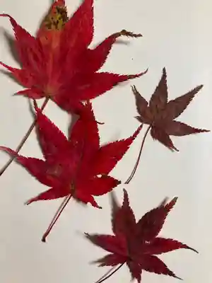 性海寺(兵庫県)