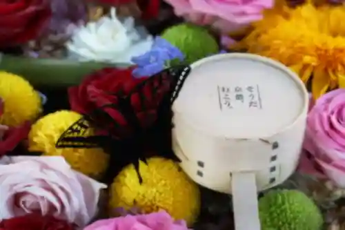 柳谷観音　楊谷寺の手水舎