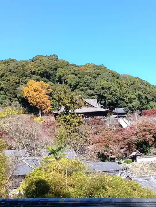 長谷寺(奈良県)