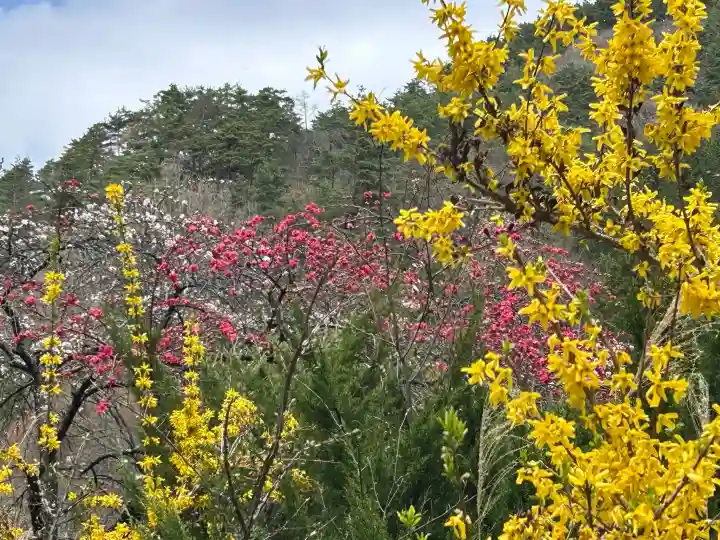 新海三社神社の{uncategorized: "未分類", other: "その他", undefined: "問題あり", building: "その他建物", grave: "お墓", sacred_gate: "鳥居", guardian: "狛犬", statue: "像", buddha: "仏像", history: "歴史", nature: "自然", garden: "庭園", animal: "動物", pagoda: "塔", temizu: "手水舎", mountain_gate: "山門・神門", sanctuary: "本殿・本堂", subordinate: "末社・摂社", art: "芸術", scenery: "景色", jizo: "地蔵", ema: "絵馬", goshuin: "御朱印", omikuji: "おみくじ", items: "授与品その他", amulet: "お守り", goshuincho: "御朱印帳", eats: "食事", festival: "お祭り", votive_dance: "神楽", shichigosan: "七五三参", wedding: "結婚式", experience: "体験その他", initially: "初詣", around: "周辺", anti_infection: "感染症対策"}