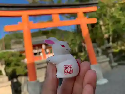 宇治神社のおみくじ
