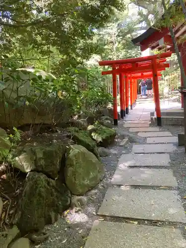 來宮神社(静岡県)