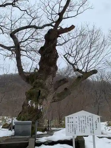 那須温泉神社(栃木県)