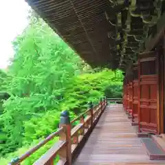 圓教寺の建物その他