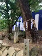 安居神社(大阪府)