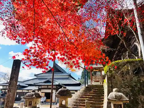 箸蔵寺(徳島県)