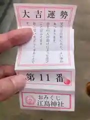 江島神社のおみくじ