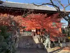 養玉院如来寺(東京都)