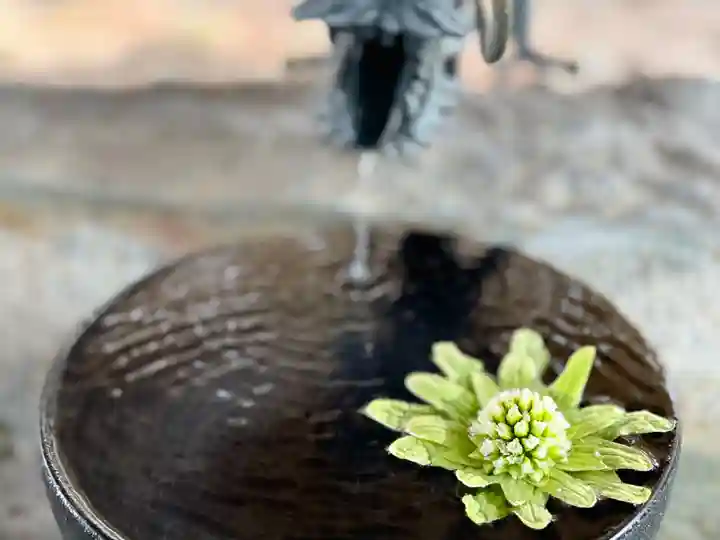 琴似神社(北海道)