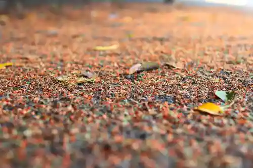 三津厳島神社(愛媛県)