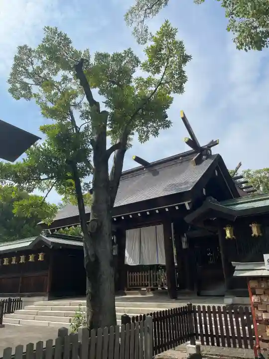 和泉國一之宮 大鳥大社(大阪府)