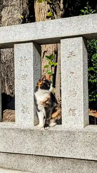 柏諏訪神社の動物