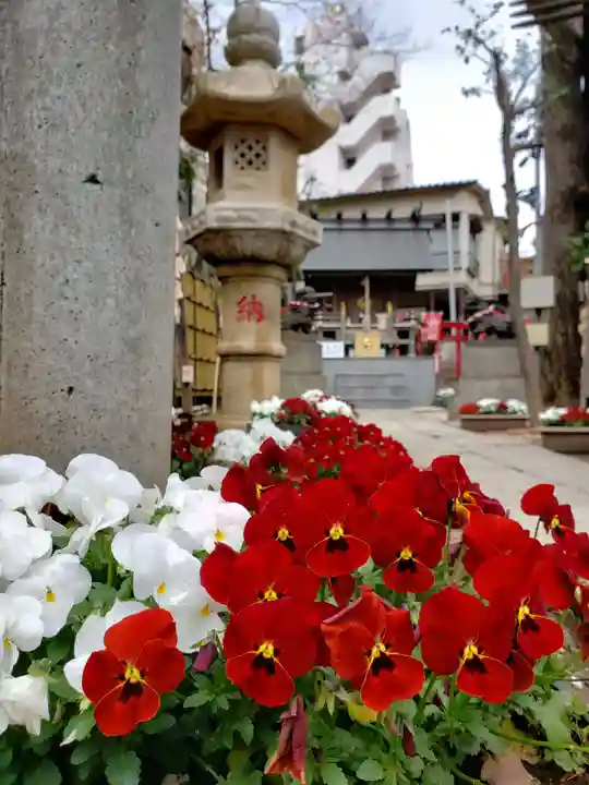 高円寺氷川神社の自然