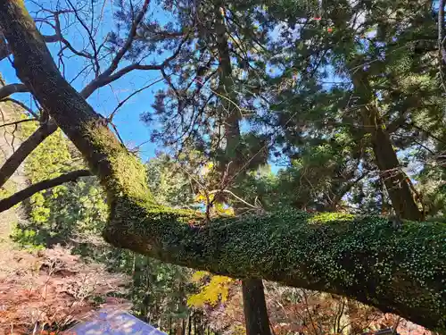 室生寺(奈良県)