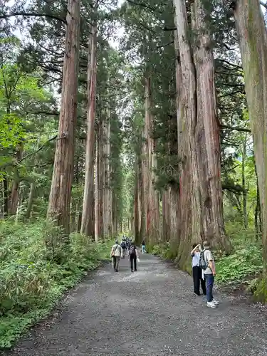 戸隠神社奥社(長野県)