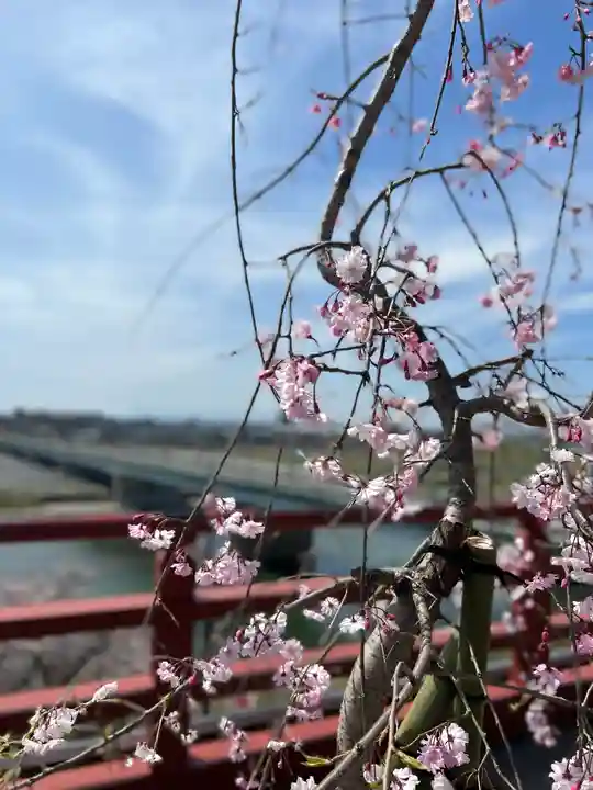 多摩川浅間神社の自然