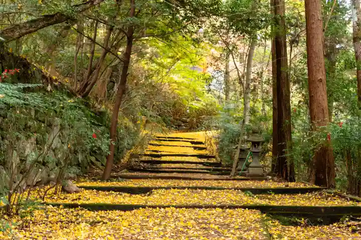 柞原八幡宮(大分県)