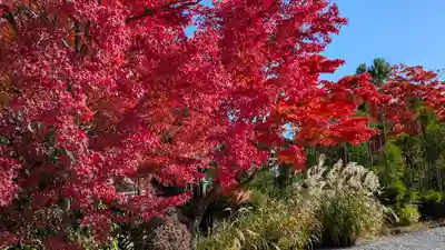源光庵(京都府)