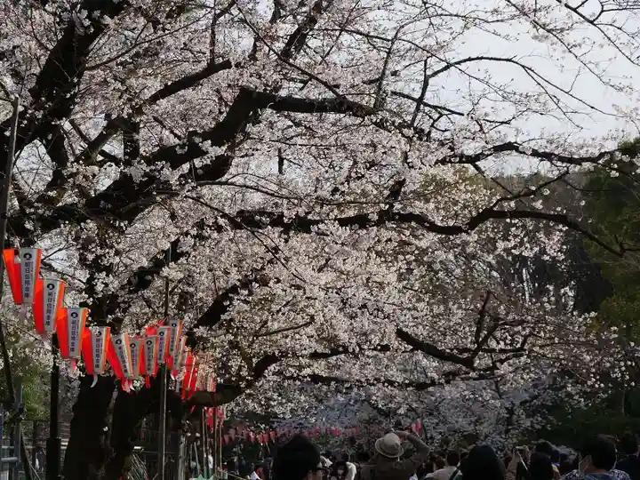 清水観音堂の自然