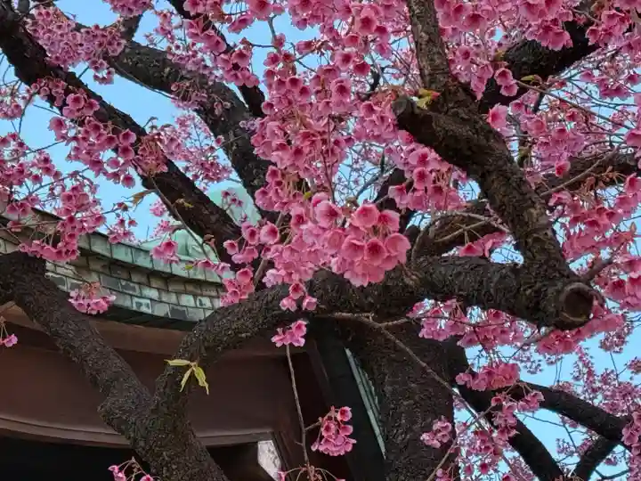 荏原神社(東京都)
