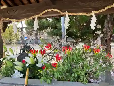 三津厳島神社の手水舎