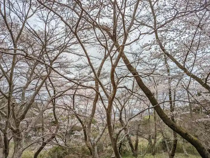 勝持寺(花の寺)(京都府)