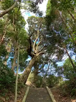 高谷神社の自然
