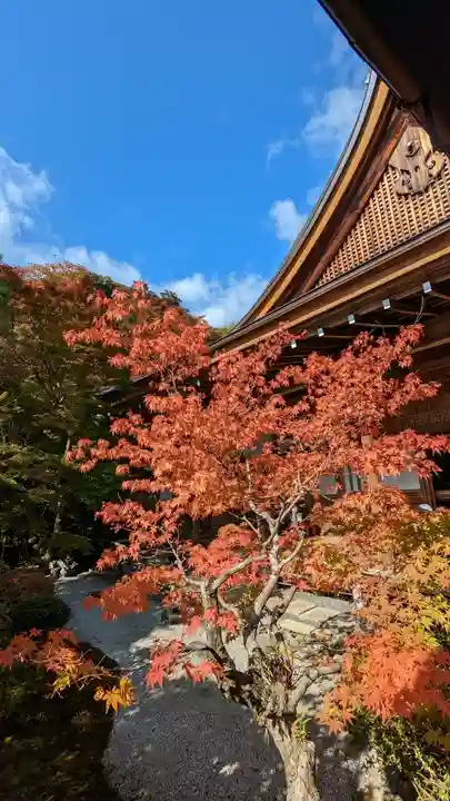 二尊院(京都府)