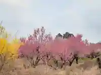 伏木香取神社(茨城県)