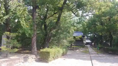 聖福寺の建物その他