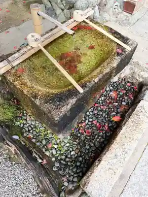 御寺 泉涌寺の手水舎