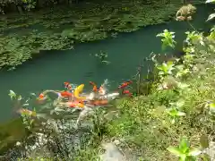 三光寺(岐阜県)