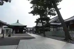 善通寺の建物その他