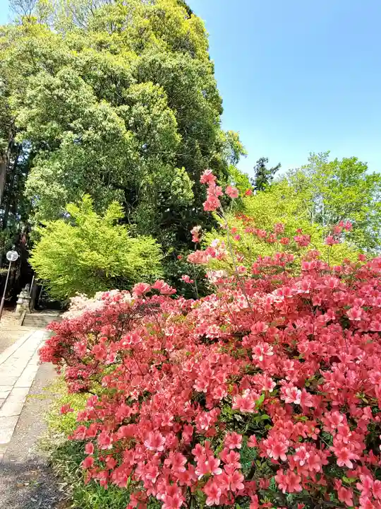 豊景神社の庭園