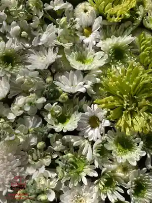 立志神社(滋賀県)