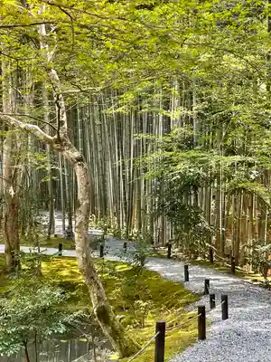 圓光寺(京都府)