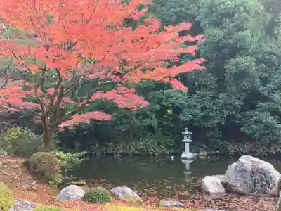 知恩院(京都府)