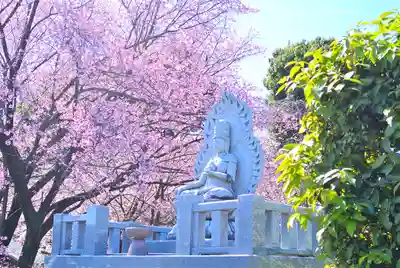 密藏院(埼玉県)