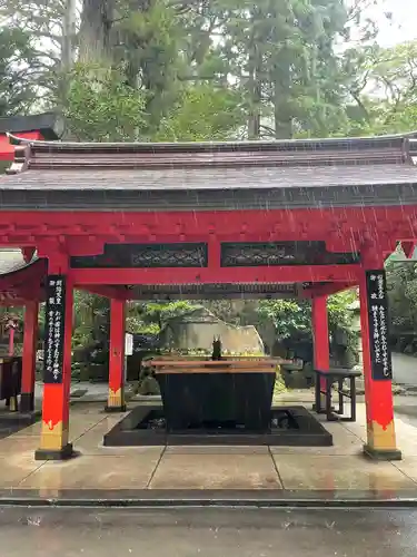 箱根神社の手水舎