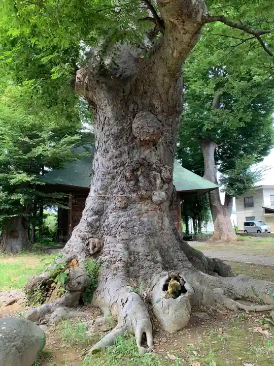 大嶋神社(長野県)