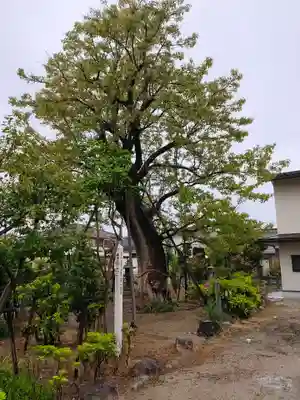 田守神社(大阪府)
