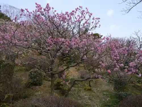 中山寺の自然